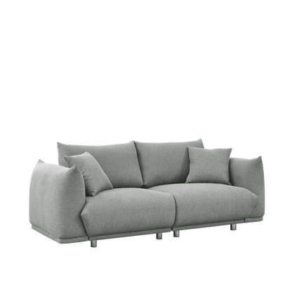 78.8'' Modern Couch for Living Room Sofa,Solid Wood Frame and Stable Metal Legs, 2 Pillows, Sofa Furniture for Apartment